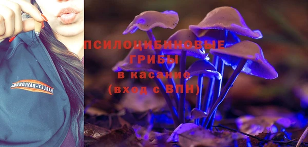 прущие крисы Балахна