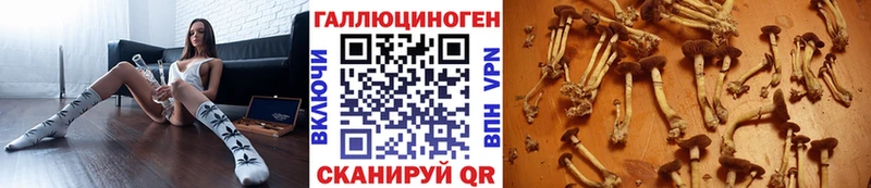 Галлюциногенные грибы ЛСД Нерюнгри