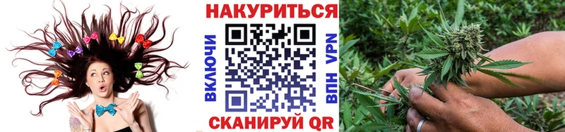 как найти   Нерюнгри  Бошки Шишки гибрид 